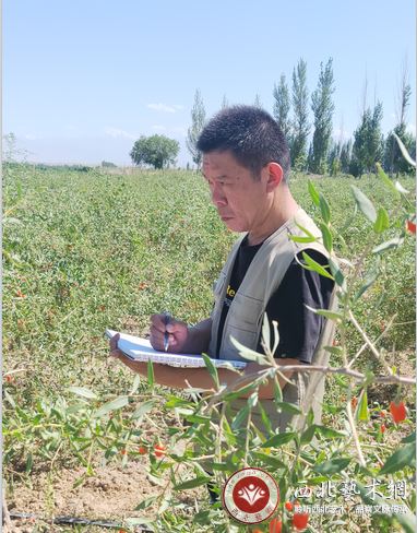 彭强院长在枸杞种植基地写生.png